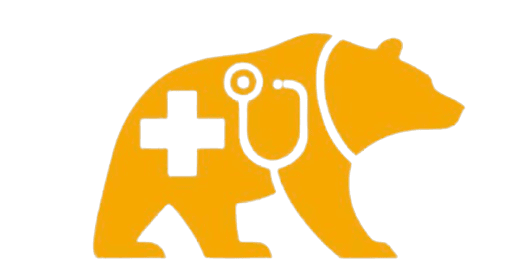 Bruin Health Consulting Logo