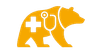 Bruin Health Consulting Logo